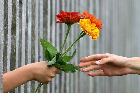 To give; to bestow. The Thai for "to give; to bestow" is "มอบ". To give; to bestow. The Thai for "to give; to bestow" is "มอบ".