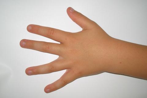 Left hand. The Thai for "left hand" is "มือซ้าย". Left hand. The Thai for "left hand" is "มือซ้าย".