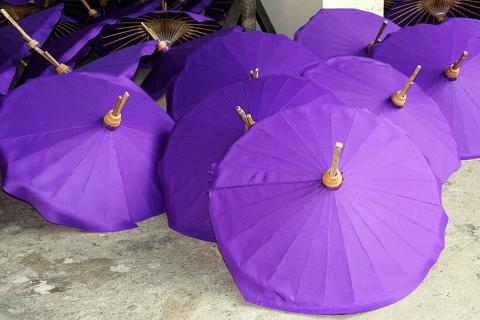 Many purple umbrellas. The Thai for "many purple umbrellas" is "ร่มสีม่วงหลายคัน". Many purple umbrellas. The Thai for "many purple umbrellas" is "ร่มสีม่วงหลายคัน".