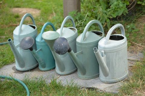 Five watering cans. The Thai for "five watering cans" is "บัวรดน้ำห้าอัน". Five watering cans. The Thai for "five watering cans" is "บัวรดน้ำห้าอัน".