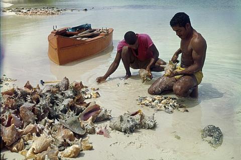 Two fishermen. The Thai for "two fishermen" is "ชาวประมงสองคน". Two fishermen. The Thai for "two fishermen" is "ชาวประมงสองคน".
