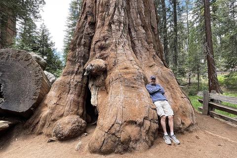 A man and a big tree. The Thai for "a man and a big tree" is "ผู้ชายและต้นไม้ใหญ่". A man and a big tree. The Thai for "a man and a big tree" is "ผู้ชายและต้นไม้ใหญ่".