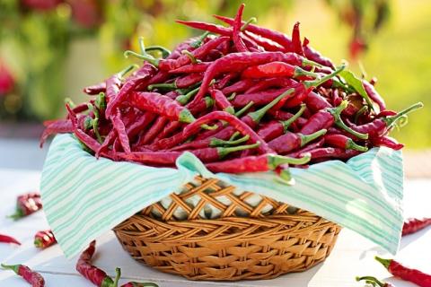 A basket of chili peppers. The Thai for "a basket of chili peppers" is "พริกหนึ่งตะกร้า". A basket of chili peppers. The Thai for "a basket of chili peppers" is "พริกหนึ่งตะกร้า".