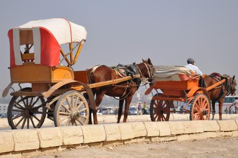 Two horse carriages. The Thai for "two horse carriages" is "รถม้าสองขบวน". Two horse carriages. The Thai for "two horse carriages" is "รถม้าสองขบวน".