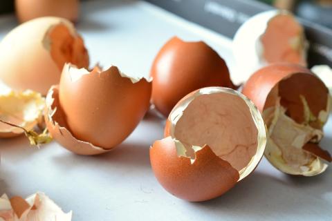 Egg shell. The Thai for "egg shell" is "เปลือกไข่". Egg shell. The Thai for "egg shell" is "เปลือกไข่".