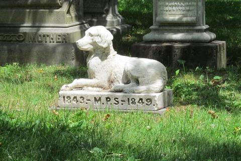 A dog statue. The Thai for "a dog statue" is "รูปปั้นสุนัข". A dog statue. The Thai for "a dog statue" is "รูปปั้นสุนัข".