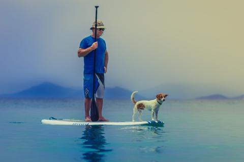 A man and a dog on a surfboard. The Thai for "a man and a dog on a surfboard" is "ผู้ชายและสุนัขบนกระดานโต้คลื่น". A man and a dog on a surfboard. The Thai for "a man and a dog on a surfboard" is "ผู้ชายและสุนัขบนกระดานโต้คลื่น".