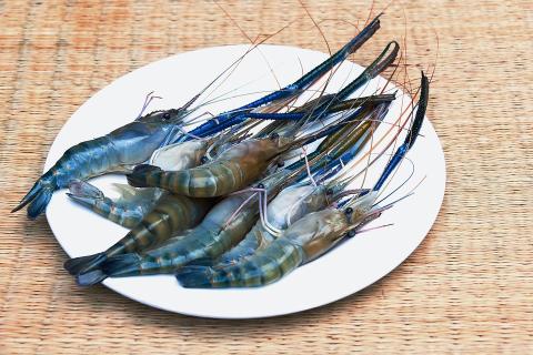A plate of fresh shrimps. The Thai for "a plate of fresh shrimps" is "กุ้งสดหนึ่งจาน". A plate of fresh shrimps. The Thai for "a plate of fresh shrimps" is "กุ้งสดหนึ่งจาน".