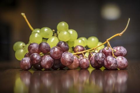 Green grapes and black grapes. The Thai for "green grapes and black grapes" is "องุ่นเขียวและองุ่นดำ". Green grapes and black grapes. The Thai for "green grapes and black grapes" is "องุ่นเขียวและองุ่นดำ".