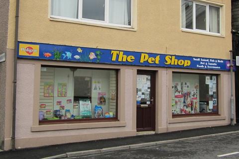 A pet shop. The Thai for "a pet shop" is "ร้านขายสัตว์เลี้ยง". A pet shop. The Thai for "a pet shop" is "ร้านขายสัตว์เลี้ยง".