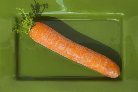 A carrot on the green plate. The Thai for "a carrot on the green plate" is "แครอทบนจานสีเขียว". A carrot on the green plate. The Thai for "a carrot on the green plate" is "แครอทบนจานสีเขียว".