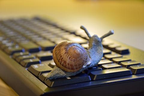 A snail on the keyboard. The Thai for "a snail on the keyboard" is "หอยทากบนแป้นพิมพ์". A snail on the keyboard. The Thai for "a snail on the keyboard" is "หอยทากบนแป้นพิมพ์".