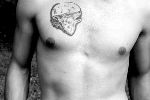 A wolf tattoo on the chest. The Thai for "a wolf tattoo on the chest" is "รอยสักหมาป่าบนหน้าอก". A wolf tattoo on the chest. The Thai for "a wolf tattoo on the chest" is "รอยสักหมาป่าบนหน้าอก".