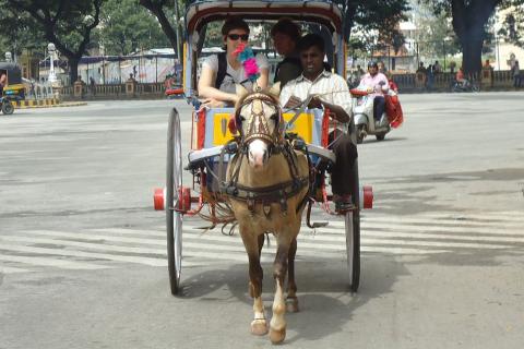 Tourists in a horse cart. The Thai for "tourists in a horse cart" is "นักท่องเที่ยวในรถม้า". Tourists in a horse cart. The Thai for "tourists in a horse cart" is "นักท่องเที่ยวในรถม้า".