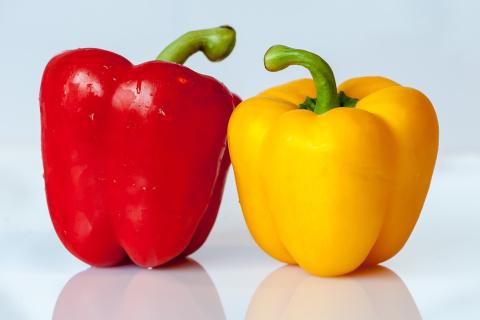 A red pepper and a yellow pepper. The Thai for "a red pepper and a yellow pepper" is "พริกหยวกสีแดงและพริกหยวกสีเหลือง". A red pepper and a yellow pepper. The Thai for "a red pepper and a yellow pepper" is "พริกหยวกสีแดงและพริกหยวกสีเหลือง".