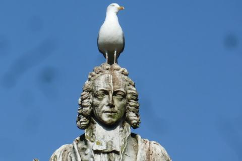 A seagull on a statue. The Thai for "a seagull on a statue" is "นกนางนวลบนรูปปั้น". A seagull on a statue. The Thai for "a seagull on a statue" is "นกนางนวลบนรูปปั้น".