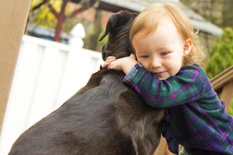 A girl hugs her dog. The Thai for "a girl hugs her dog" is "เด็กหญิงกอดสุนัขของเธอ". A girl hugs her dog. The Thai for "a girl hugs her dog" is "เด็กหญิงกอดสุนัขของเธอ".