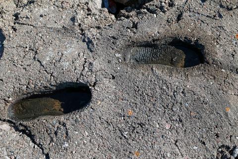 Footprints in the concrete. The Thai for "footprints in the concrete" is "รอยเท้าในคอนกรีต". Footprints in the concrete. The Thai for "footprints in the concrete" is "รอยเท้าในคอนกรีต".