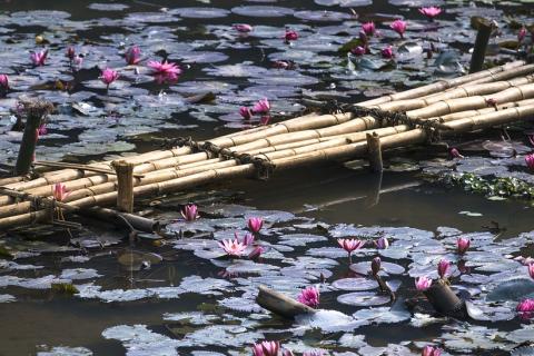 A bamboo bridge. The Thai for "a bamboo bridge" is "สะพานไม้ไผ่". A bamboo bridge. The Thai for "a bamboo bridge" is "สะพานไม้ไผ่".