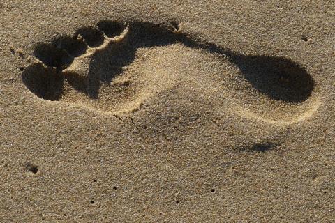 Footprint. The Thai for "footprint" is "รอยเท้า". Footprint. The Thai for "footprint" is "รอยเท้า".