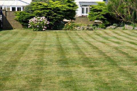 Lawn; grass. The Thai for "lawn; grass" is "สนามหญ้า". Lawn; grass. The Thai for "lawn; grass" is "สนามหญ้า".