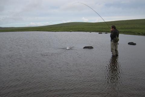 A man fishing in shallow water. The Thai for "a man fishing in shallow water" is "ผู้ชายตกปลาในน้ำตื้น". A man fishing in shallow water. The Thai for "a man fishing in shallow water" is "ผู้ชายตกปลาในน้ำตื้น".