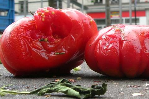 Two rotten tomatoes. The Thai for "two rotten tomatoes" is "มะเขือเทศเน่าสองลูก". Two rotten tomatoes. The Thai for "two rotten tomatoes" is "มะเขือเทศเน่าสองลูก".