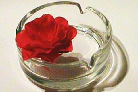 A red rose in an ashtray. The Thai for "a red rose in an ashtray" is "ดอกกุหลาบสีแดงในที่เขี่ยบุหรี่". A red rose in an ashtray. The Thai for "a red rose in an ashtray" is "ดอกกุหลาบสีแดงในที่เขี่ยบุหรี่".