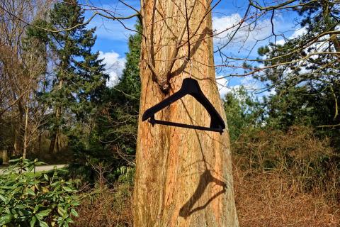 A black clothes hanger on a tree. The Thai for "a black clothes hanger on a tree" is "ไม้แขวนเสื้อสีดำบนต้นไม้". A black clothes hanger on a tree. The Thai for "a black clothes hanger on a tree" is "ไม้แขวนเสื้อสีดำบนต้นไม้".