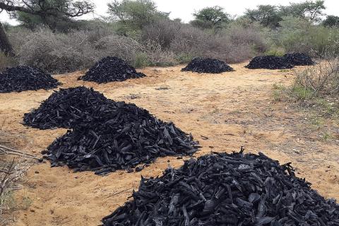 Many piles of charcoal. The Thai for "many piles of charcoal" is "ถ่านหลายกอง". Many piles of charcoal. The Thai for "many piles of charcoal" is "ถ่านหลายกอง".