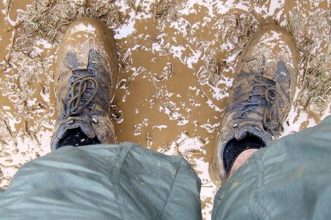 Muddy shoes. The Thai for "muddy shoes" is "รองเท้าเปื้อนโคลน".