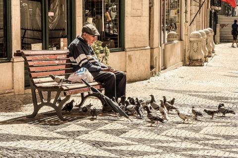 An old man on a bench and a flock of pigeons. The Thai for "an old man on a bench and a flock of pigeons" is "ชายชราบนม้านั่งและฝูงนกพิราบ". An old man on a bench and a flock of pigeons. The Thai for "an old man on a bench and a flock of pigeons" is "ชายชราบนม้านั่งและฝูงนกพิราบ".