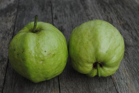 Guava. The Thai for "guava" is "ฝรั่ง". Guava. The Thai for "guava" is "ฝรั่ง".