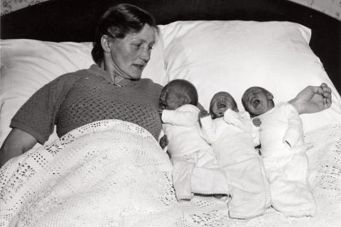 Baby triplets on mom’s arms. The Thai for "baby triplets on mom’s arms" is "ทารกแฝดสามบนแขนของแม่". Baby triplets on mom’s arms. The Thai for "baby triplets on mom’s arms" is "ทารกแฝดสามบนแขนของแม่".