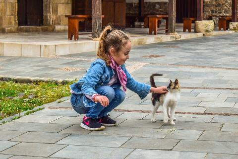 A girl stroking a cat’s back. The Thai for "a girl stroking a cat’s back" is "เด็กผู้หญิงลูบหลังแมว". A girl stroking a cat’s back. The Thai for "a girl stroking a cat’s back" is "เด็กผู้หญิงลูบหลังแมว".