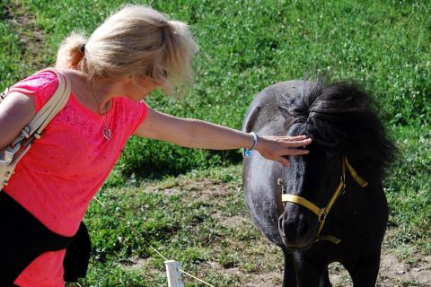 The woman is stroking the head of a black horse.. The Thai for "The woman is stroking the head of a black horse." is "ผู้หญิงลูบหัวม้าสีดำ". The woman is stroking the head of a black horse.. The Thai for "The woman is stroking the head of a black horse." is "ผู้หญิงลูบหัวม้าสีดำ".