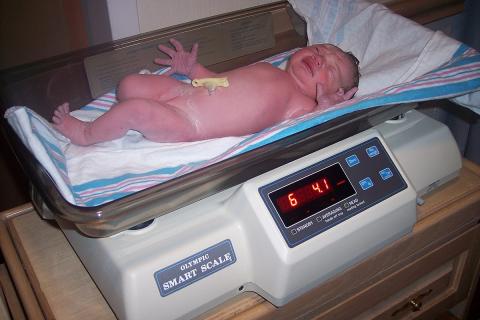 A baby on some weighing scales. The Thai for "a baby on some weighing scales" is "ทารกบนเครื่องชั่ง". A baby on some weighing scales. The Thai for "a baby on some weighing scales" is "ทารกบนเครื่องชั่ง".