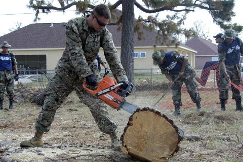 A soldier using a chainsaw to cut down a tree. The Thai for "a soldier using a chainsaw to cut down a tree" is "ทหารใช้เลื่อยยนต์ตัดต้นไม้". A soldier using a chainsaw to cut down a tree. The Thai for "a soldier using a chainsaw to cut down a tree" is "ทหารใช้เลื่อยยนต์ตัดต้นไม้".