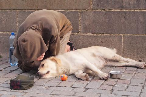 A beggar with his dog. The Thai for "a beggar with his dog" is "ขอทานกับสุนัขของเขา". A beggar with his dog. The Thai for "a beggar with his dog" is "ขอทานกับสุนัขของเขา".