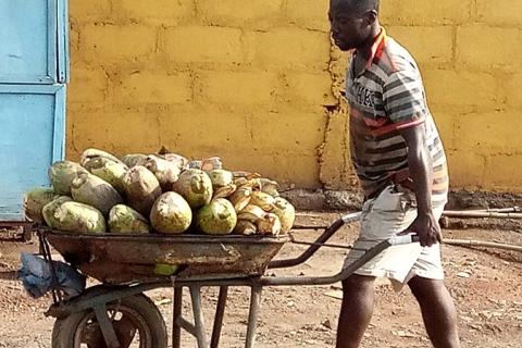 A pile of coconuts in his wheelbarrow. The Thai for "a pile of coconuts in his wheelbarrow" is "กองมะพร้าวในรถเข็นของเขา". A pile of coconuts in his wheelbarrow. The Thai for "a pile of coconuts in his wheelbarrow" is "กองมะพร้าวในรถเข็นของเขา".