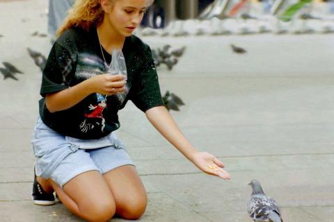 A woman feeding a pigeon. The Thai for "a woman feeding a pigeon" is "ผู้หญิงให้อาหารนกพิราบ". A woman feeding a pigeon. The Thai for "a woman feeding a pigeon" is "ผู้หญิงให้อาหารนกพิราบ".