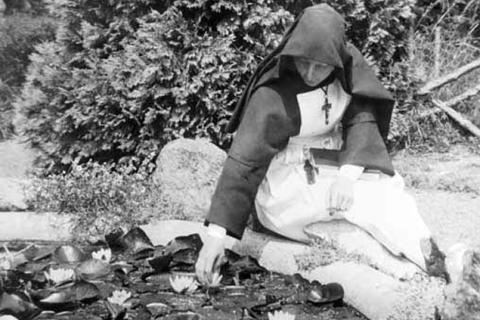 A nun sitting beside a lotus pond. The Thai for "a nun sitting beside a lotus pond" is "แม่ชีนั่งข้างบึงดอกบัว". A nun sitting beside a lotus pond. The Thai for "a nun sitting beside a lotus pond" is "แม่ชีนั่งข้างบึงดอกบัว".