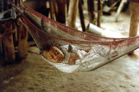 A baby sleeping in a hammock. The Thai for "a baby sleeping in a hammock" is "ทารกนอนหลับในเปล". A baby sleeping in a hammock. The Thai for "a baby sleeping in a hammock" is "ทารกนอนหลับในเปล".