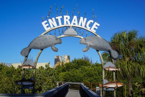 Entrance. The Thai for "entrance" is "ทางเข้า". Entrance. The Thai for "entrance" is "ทางเข้า".