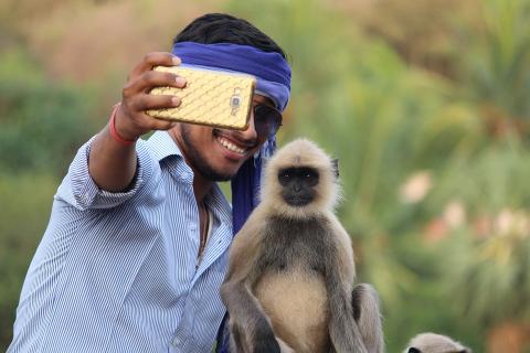 A man and a monkey take a selfie. The Thai for "a man and a monkey take a selfie" is "ผู้ชายและลิงถ่ายเซลฟี่". A man and a monkey take a selfie. The Thai for "a man and a monkey take a selfie" is "ผู้ชายและลิงถ่ายเซลฟี่".