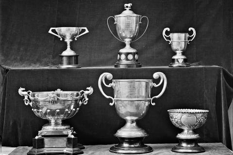 Trophy. The Thai for "trophy" is "ถ้วยรางวัล". Trophy. The Thai for "trophy" is "ถ้วยรางวัล".