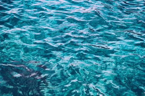 The water surface. The Thai for "the water surface" is "ผิวน้ำ". The water surface. The Thai for "the water surface" is "ผิวน้ำ".