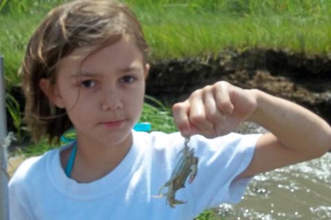 A girl with a little crab. The Thai for "a girl with a little crab" is "เด็กผู้หญิงกับปูตัวเล็ก". A girl with a little crab. The Thai for "a girl with a little crab" is "เด็กผู้หญิงกับปูตัวเล็ก".