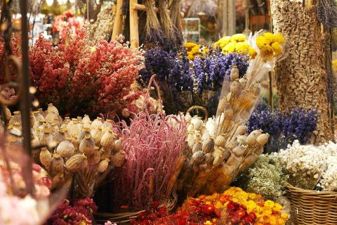 Dried flowers. The Thai for "dried flowers" is "ดอกไม้แห้ง". Dried flowers. The Thai for "dried flowers" is "ดอกไม้แห้ง".