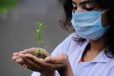 A seedling in her hands. The Thai for "a seedling in her hands" is "ต้นอ่อนในมือเธอ". A seedling in her hands. The Thai for "a seedling in her hands" is "ต้นอ่อนในมือเธอ".